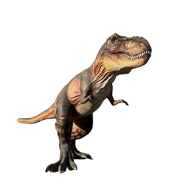 dino image